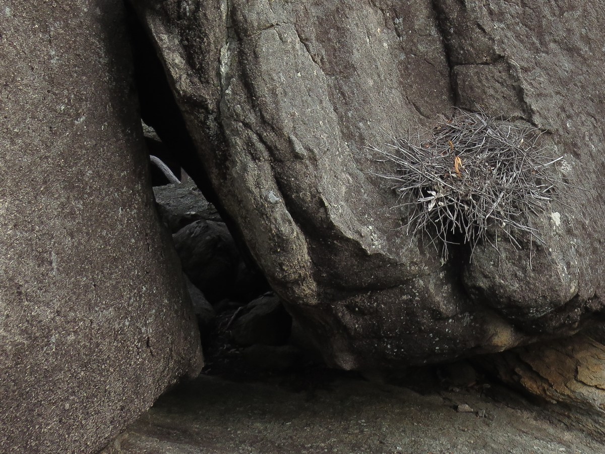 2020: Who Makes&nbsp;It?